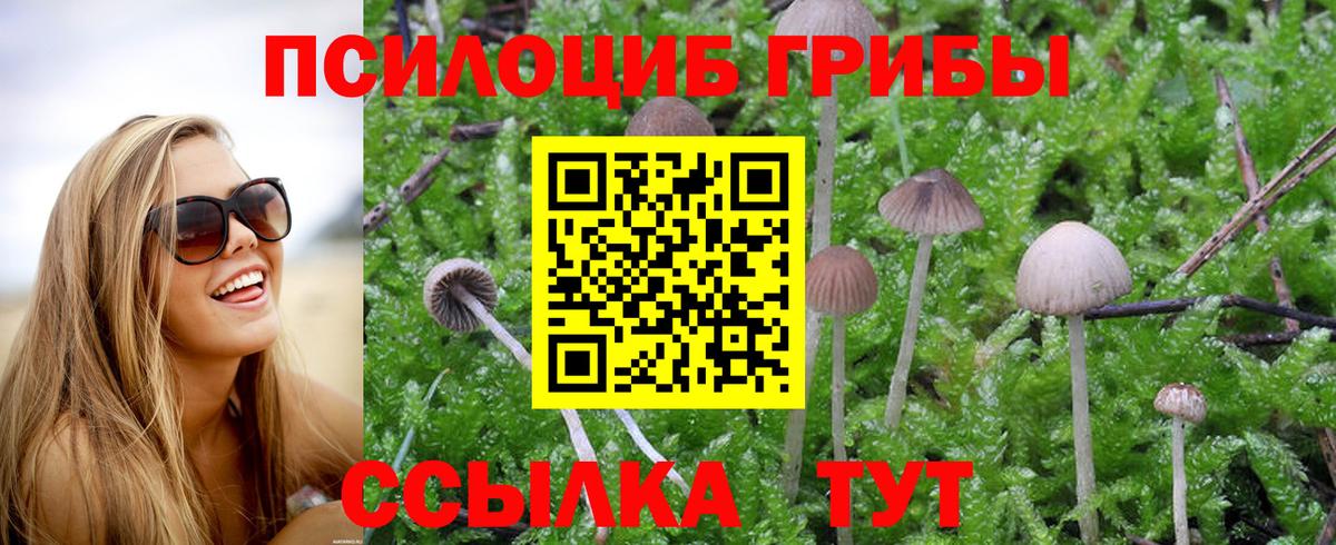Псилоцибиновые грибы прущие грибы Малоярославец